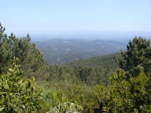 View from Wellington's first command post